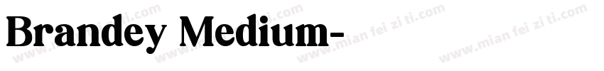 Brandey Medium字体转换